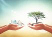 World,Environment,Day,Concept:,Two,Human,Hands,Holding,Big,Tree