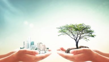 World,Environment,Day,Concept:,Two,Human,Hands,Holding,Big,Tree