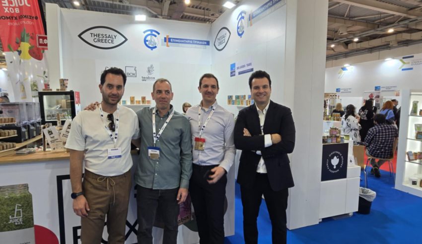 8 food expo kimon