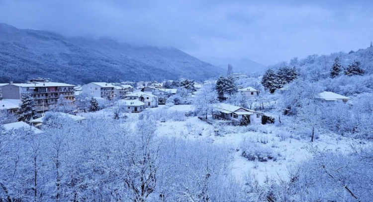 Screenshot 2025-03-29 084754