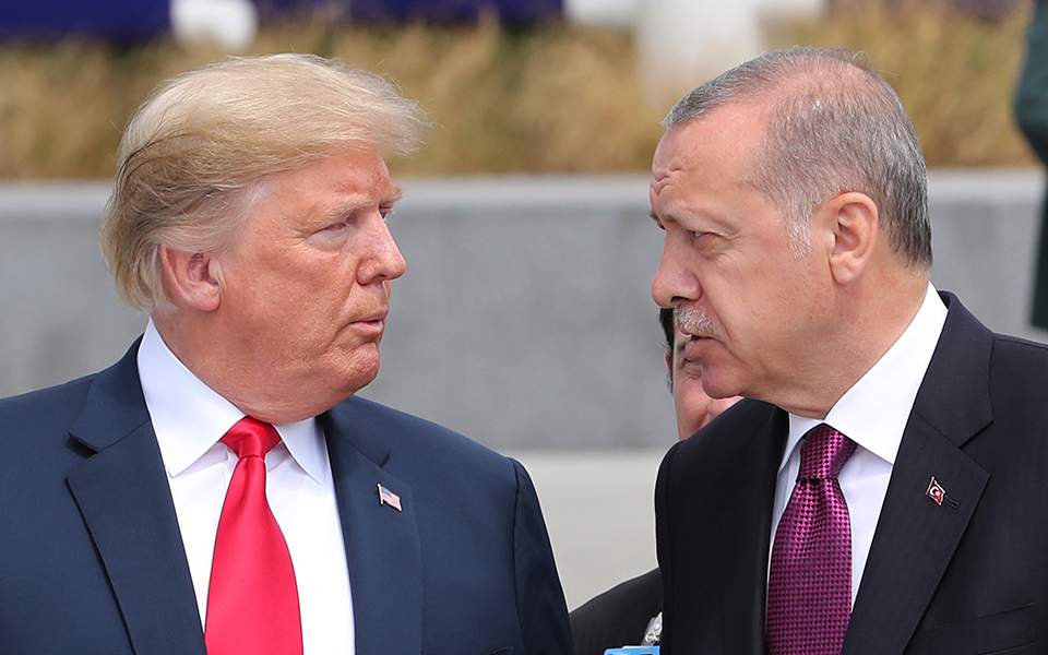 trumperdogan-thumb-large