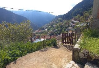 Tzurtzia (1)