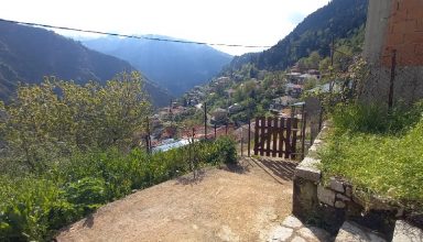 Tzurtzia (1)