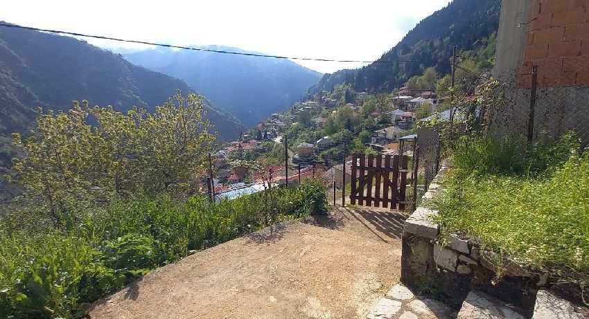 Tzurtzia-1-850x461