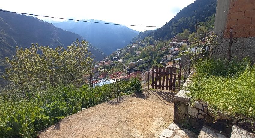 Tzurtzia (1)