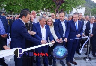 egainia plateias Pylis (1)