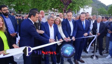 egainia plateias Pylis (1)