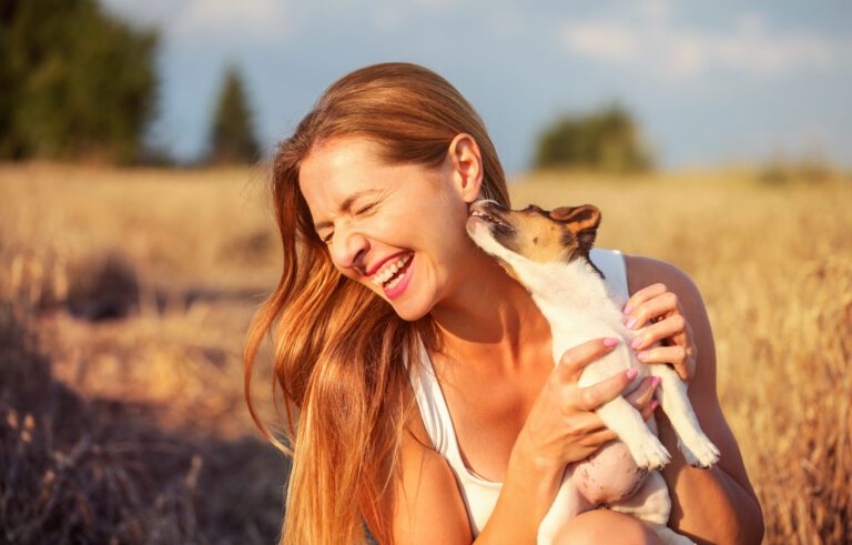 Young woman holding Jack Russell terrier puppy on her hand, trying to pose, but the dog is licking and chewing her ear and hair.