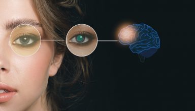 Female,Pupils,And,Brain,Function,,Reveal,A,Hidden,Signal,About