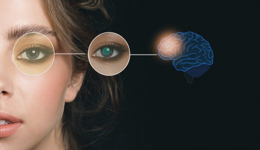 Female,Pupils,And,Brain,Function,,Reveal,A,Hidden,Signal,About