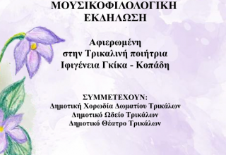 Στιγμιότυπο οθόνης 2025-05-11 111029