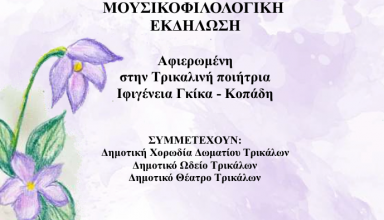 Στιγμιότυπο οθόνης 2025-05-11 111029