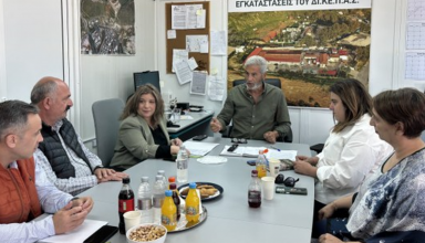 Στιγμιότυπο οθόνης 2025-05-16 170250