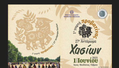 Στιγμιότυπο οθόνης 2025-05-25 095809