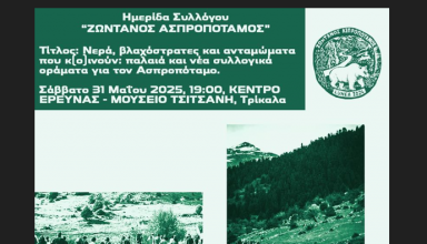 Στιγμιότυπο οθόνης 2025-05-26 090221