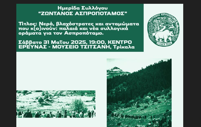 Στιγμιότυπο οθόνης 2025-05-26 090221