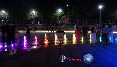 DSC06247