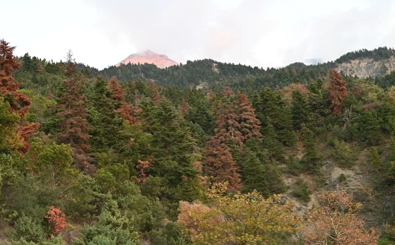 elata-melissourgoi-hperios