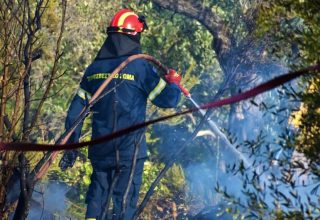 fotia-skiathos-3-1140x570