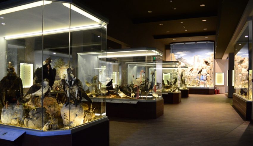 meteoramuseum (1)