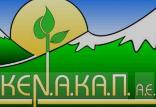 Στιγμιότυπο οθόνης 2025-06-10 134505