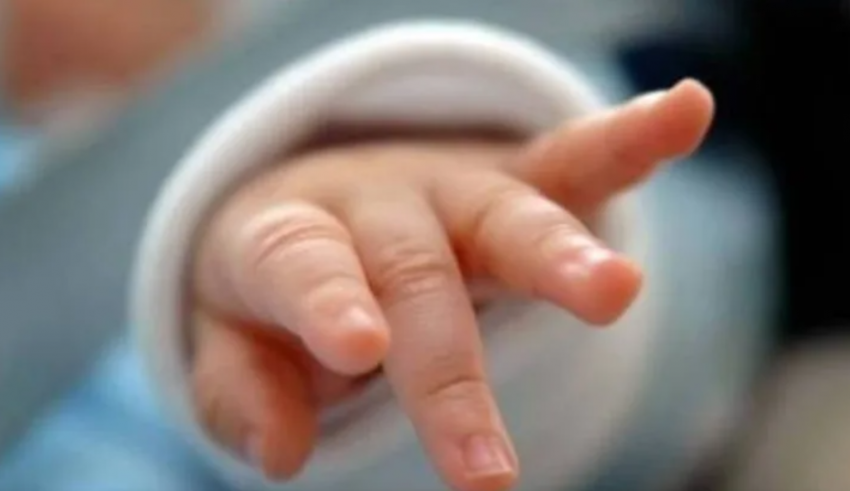 Στιγμιότυπο οθόνης 2025-06-14 101030