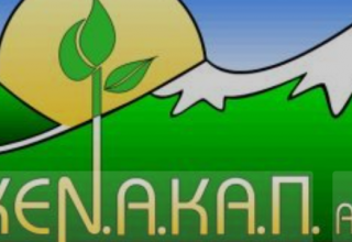 Στιγμιότυπο οθόνης 2025-06-17 131936