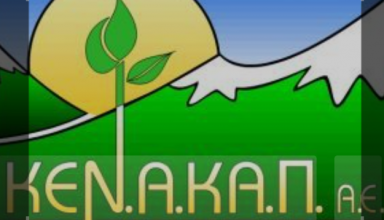 Στιγμιότυπο οθόνης 2025-06-17 131936