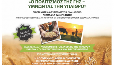 Στιγμιότυπο οθόνης 2025-06-23 095120