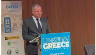 Στιγμιότυπο οθόνης 2025-06-24 101739