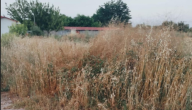Στιγμιότυπο οθόνης 2025-06-25 092623