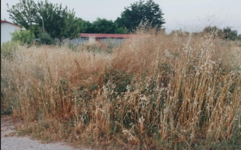 Στιγμιότυπο οθόνης 2025-06-25 092623